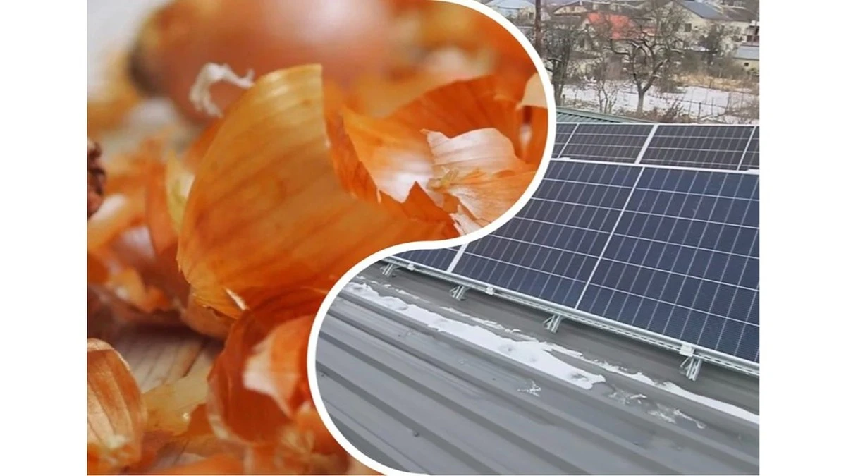 Chytry trik z łupinami cebuli na dachu: dlaczego sąsiad to robi?