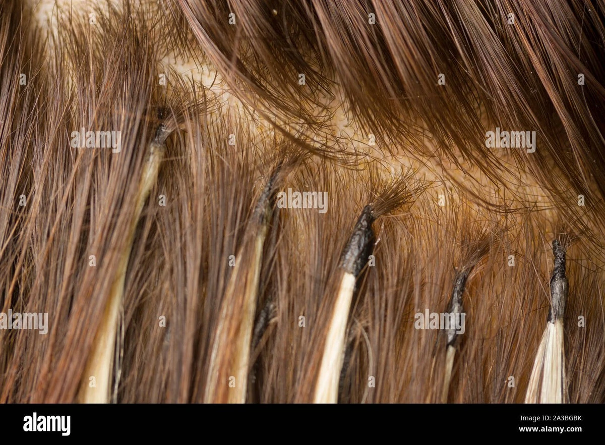 dlaczegotwojask-extra-1.webp Dlaczego Twoja skóra głowy swędzi po doczepach: odkryto w nich 48 toksycznych związków - image 1