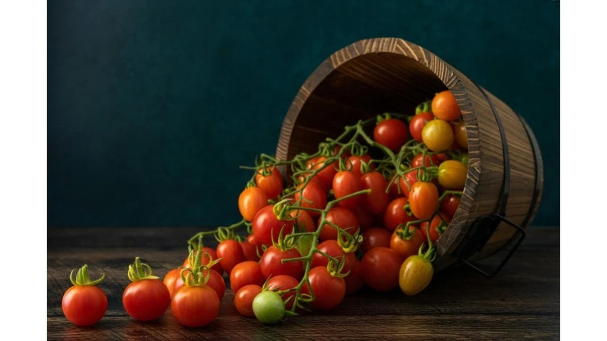 Dlaczego europejska arystokracja bała się pomidorów i dlaczego to nie one były winne
