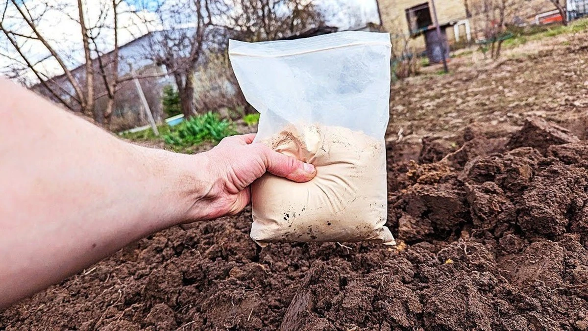 Dlaczego przestałem używać obornika jako nawozu