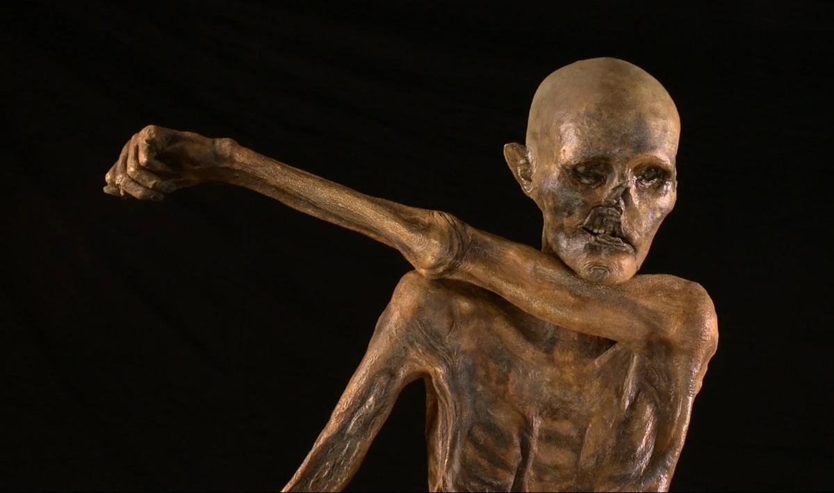 Dlaczego po 5300 latach mumia Ötzi nadal skrywa oznaki życia - image 1