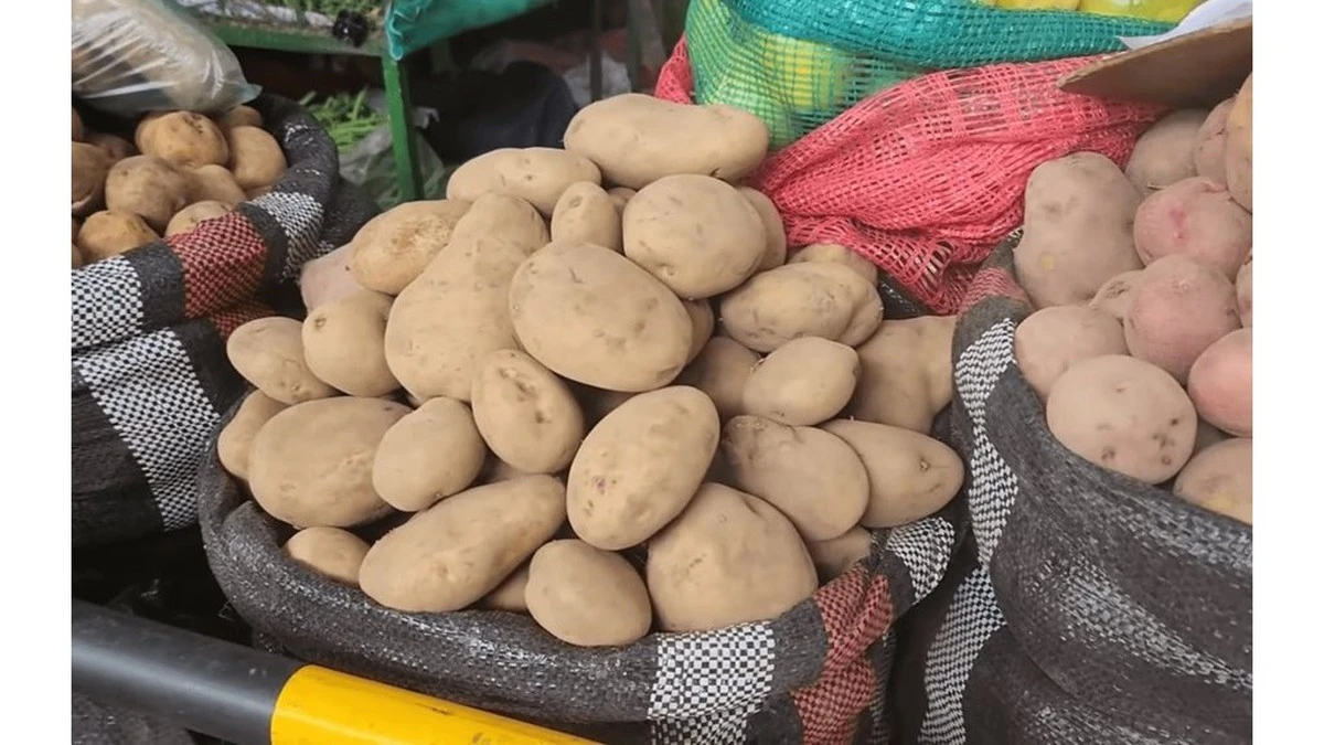 Dlaczego przestałem wierzyć w napisy na opakowaniach sadzeniaków