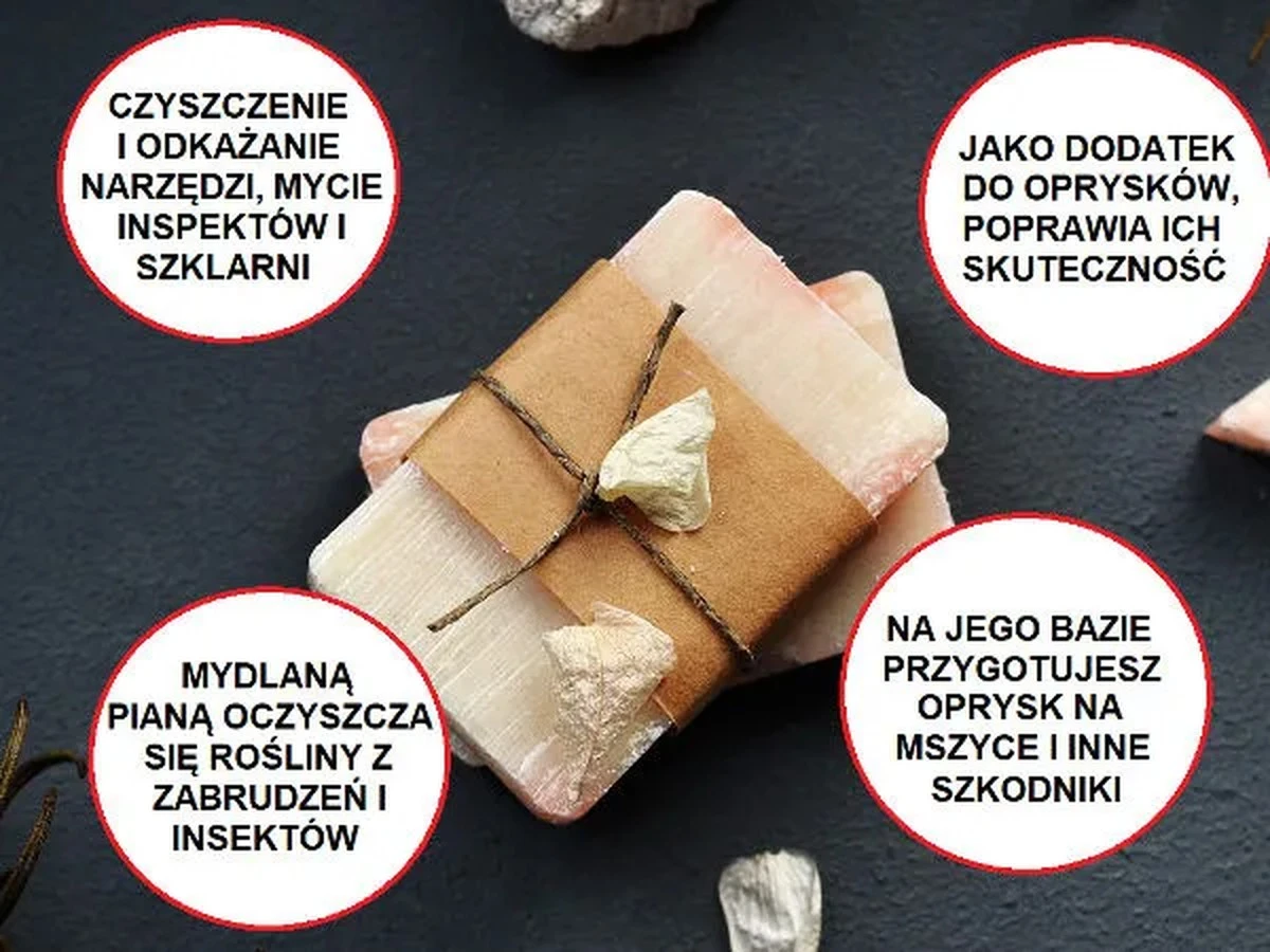 dlaczegodoswiad-extra-1.webp Dlaczego doświadczone gospodynie zawsze mają w szafce szare mydło - image 1
