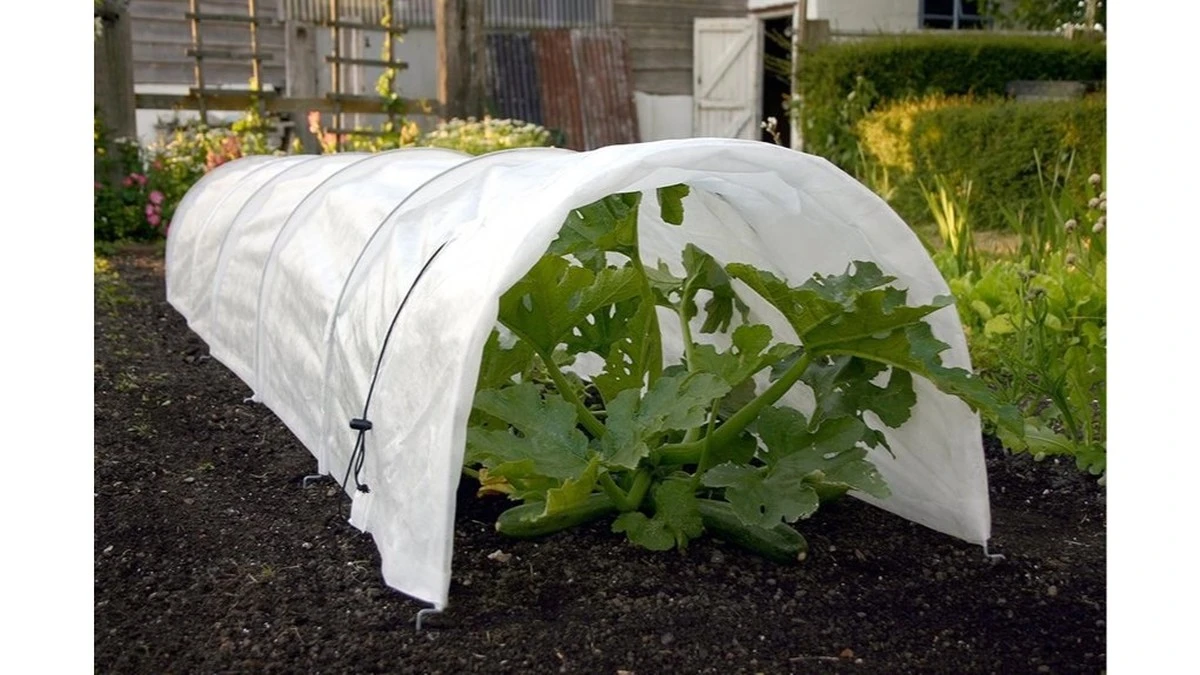 Dlaczego owijanie roślin folią to błąd, który może je zabić