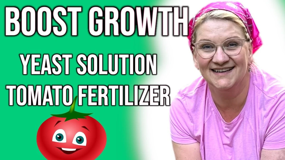 Dlaczego doświadczeni ogrodnicy zawsze trzymają zapas drożdży w altanie - image 1