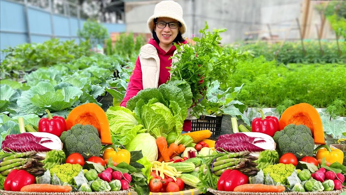 Burok „Bordeaux 237”: posadziłem go i teraz nie wiem, co zrobić z tymi zbiorami - image 1