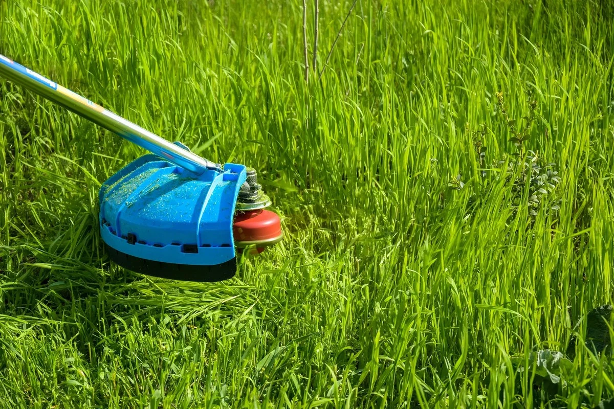 Dlaczego twoja podkaszarka nie radzi sobie z trawą? Zmień to