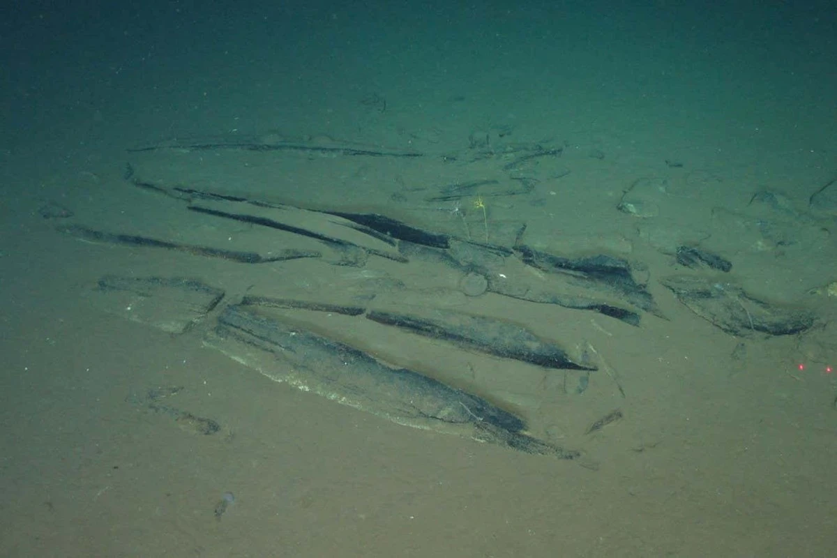 Siedem kilometrów pod powierzchnią oceanu odkryto cmentarzysko wielorybów