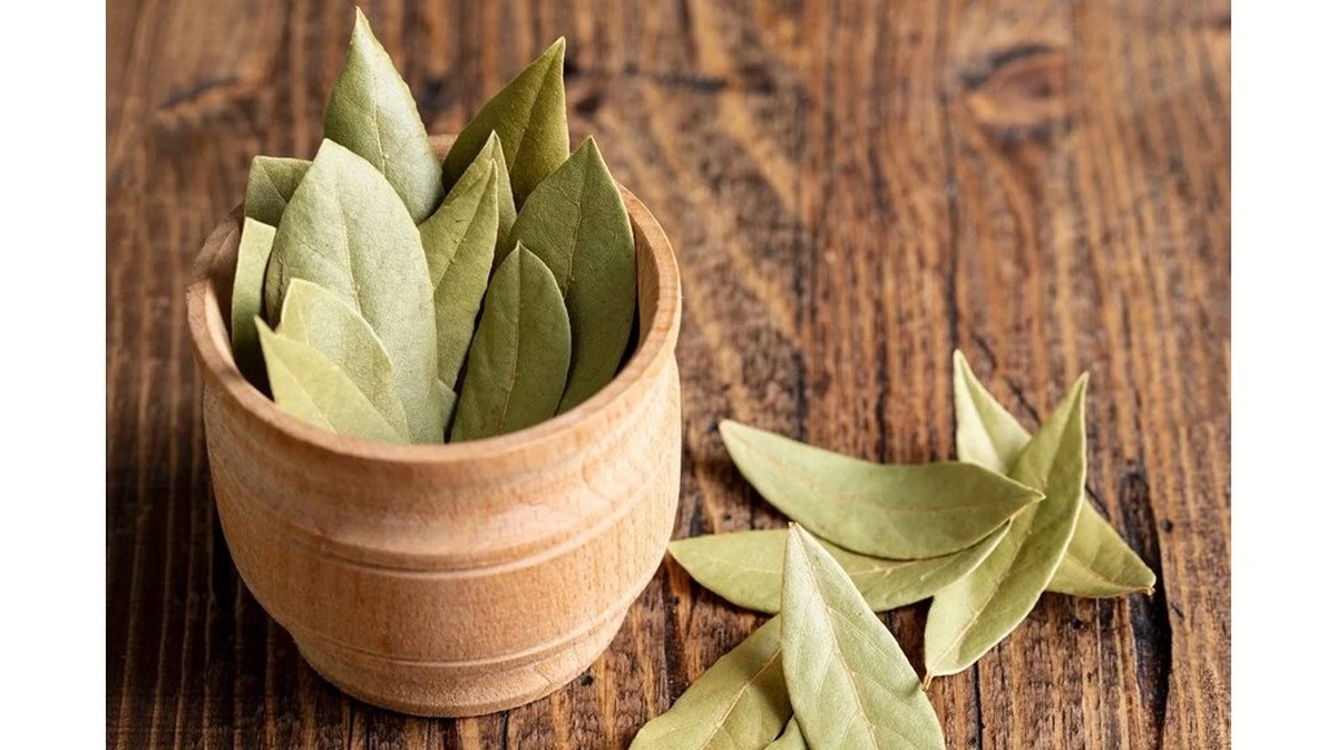 Dlaczego warto trzymać szklankę naparu z liści laurowych w łazience