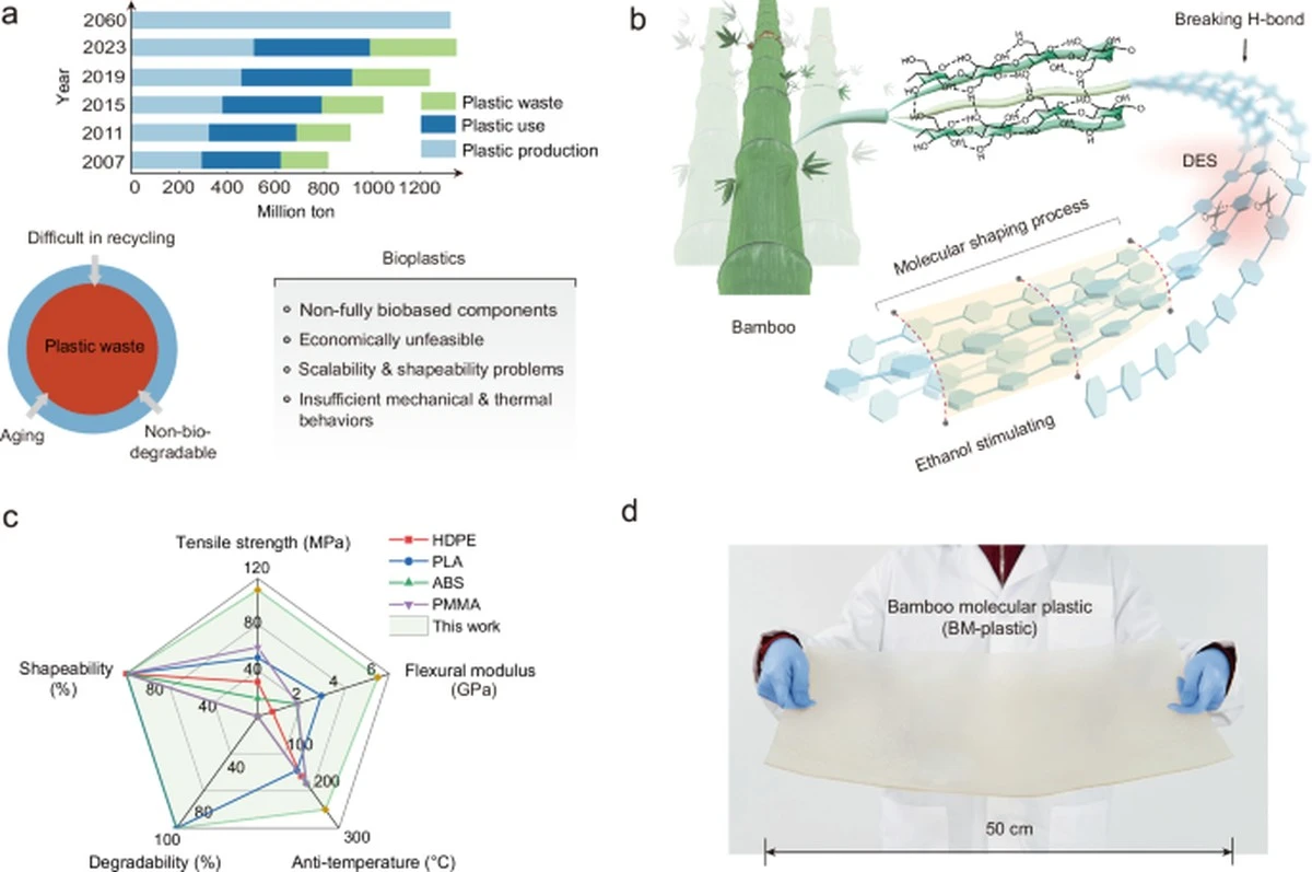 dlaczegoinzynie-extra-1.webp Dlaczego inżynierowie coraz częściej wkładają bambus do wnętrza samochodów - image 1