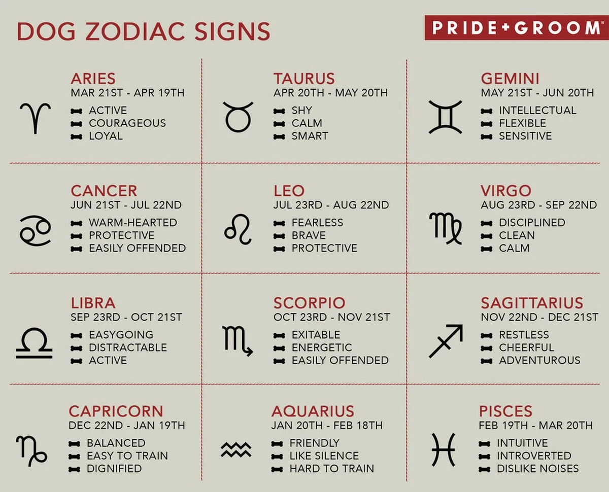 Dlaczego tym 3 znakom zodiaku lepiej nie mówić „musisz” - image 1