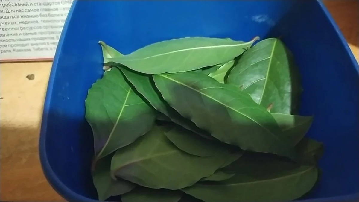 Dlaczego warto powiesić woreczek z liśćmi laurowymi w toalecie