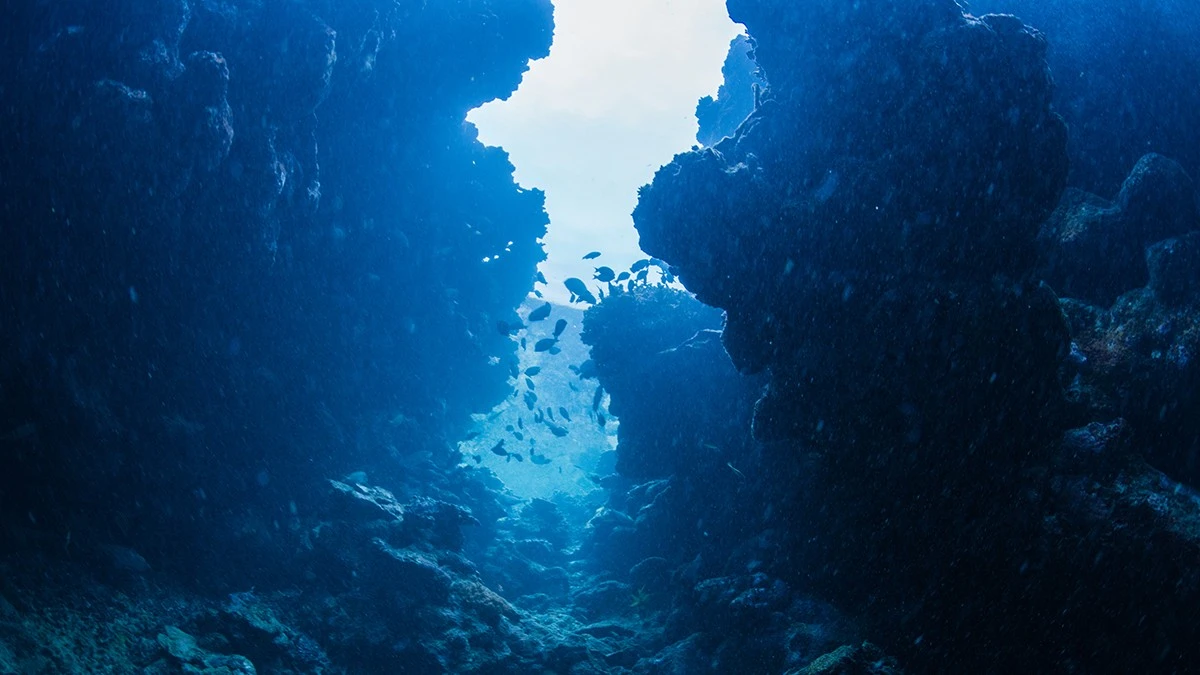 Dlaczego 500-kilometrowy rów rozdarł dno Atlantyku