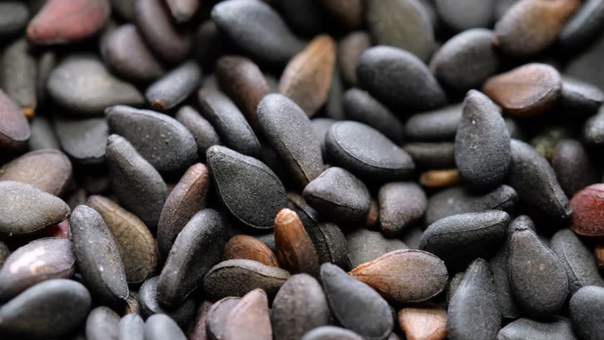 Dlaczego warto dosypać łyżeczkę czarnego sezamu do jogurtu zamiast białego - image 1