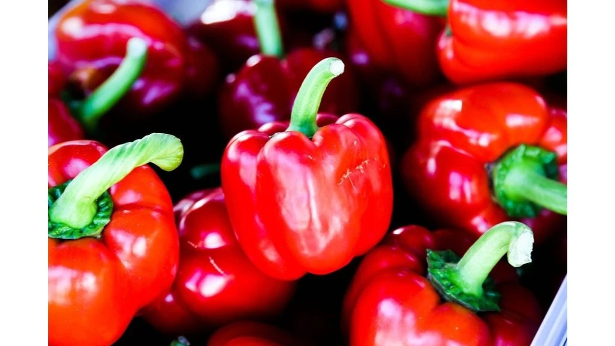 Dlaczego doświadczeni ogrodnicy zawsze wsypują łyżkę popiołu do wody z nasionami papryki