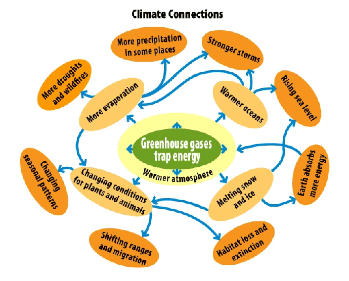 Czarny scenariusz klimatyczny wykreślony z prognoz: co to oznacza dla naszej przyszłości - image 1