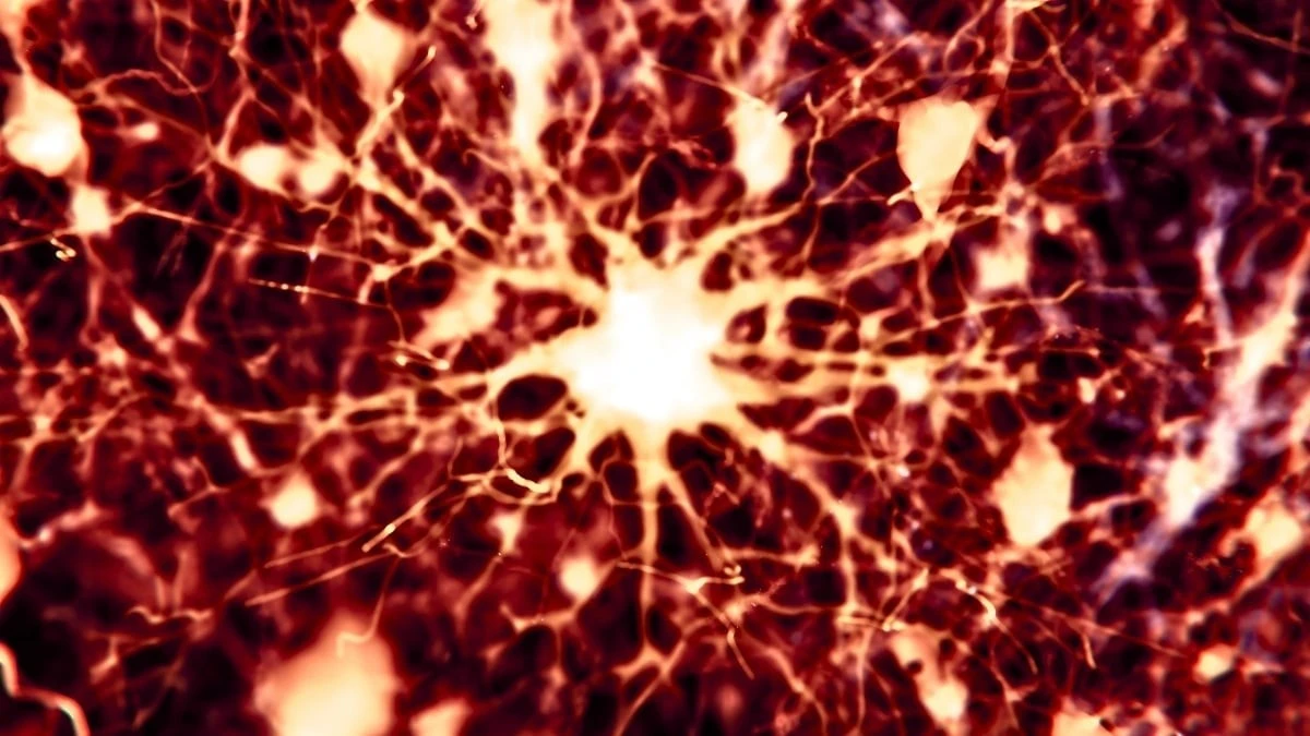 Dwa leki na raka mogą cofać zmiany w mózgu przy chorobie Alzheimera