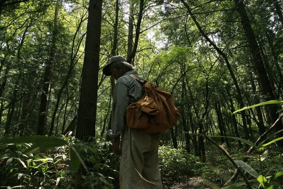 Dlaczego mózg nie pozwala zapomnieć? Prawda o osobach, które utknęły w żałobie - image 1