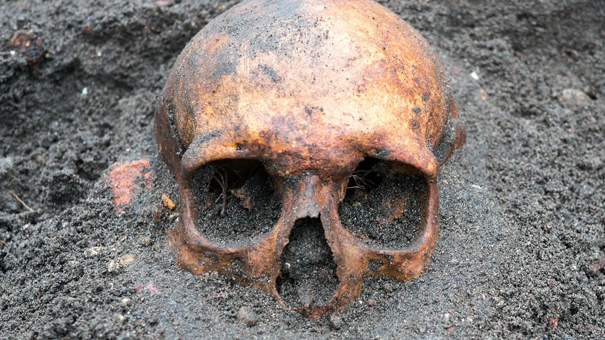 DNA ujawnia prawdę: dlaczego 400-letnia teoria o otruciu księcia była błędna