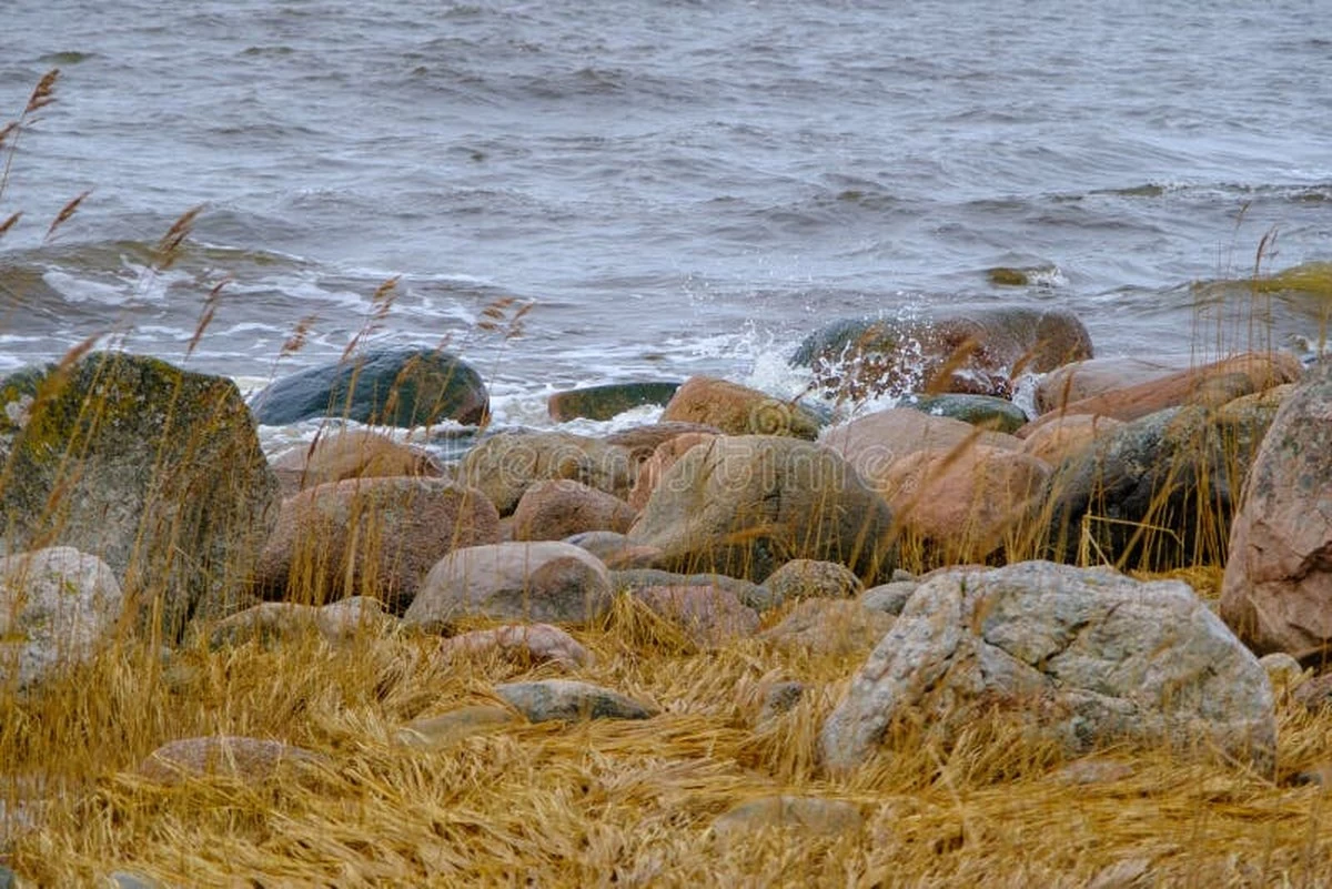 Dlaczego poziom wody w Bałtyku gwałtownie spadł poniżej normy z 1886 roku - image 1