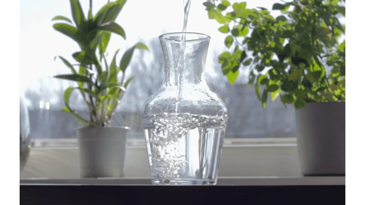 Myślałam, że opadające liście wiosną to norma. Trzy tabletki z apteki udowodniły, że się myliłam