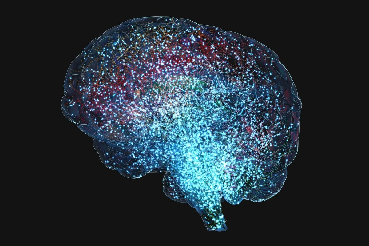 Dlaczego jedna dawka psylocybiny uwalnia od natrętnych myśli na długie tygodnie - image 1