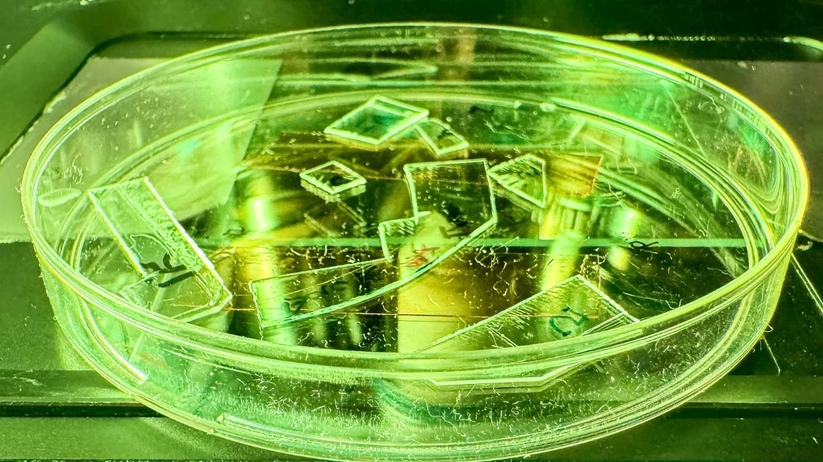 Folia, która rozrywa wirusy: dlaczego to przełom w walce z zarazkami