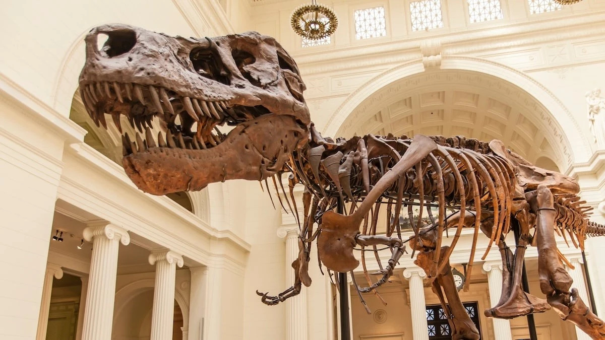 Dlaczego T. Rex stracił swoje ramiona? Nauka w końcu wyjaśnia ten ewolucyjny żart