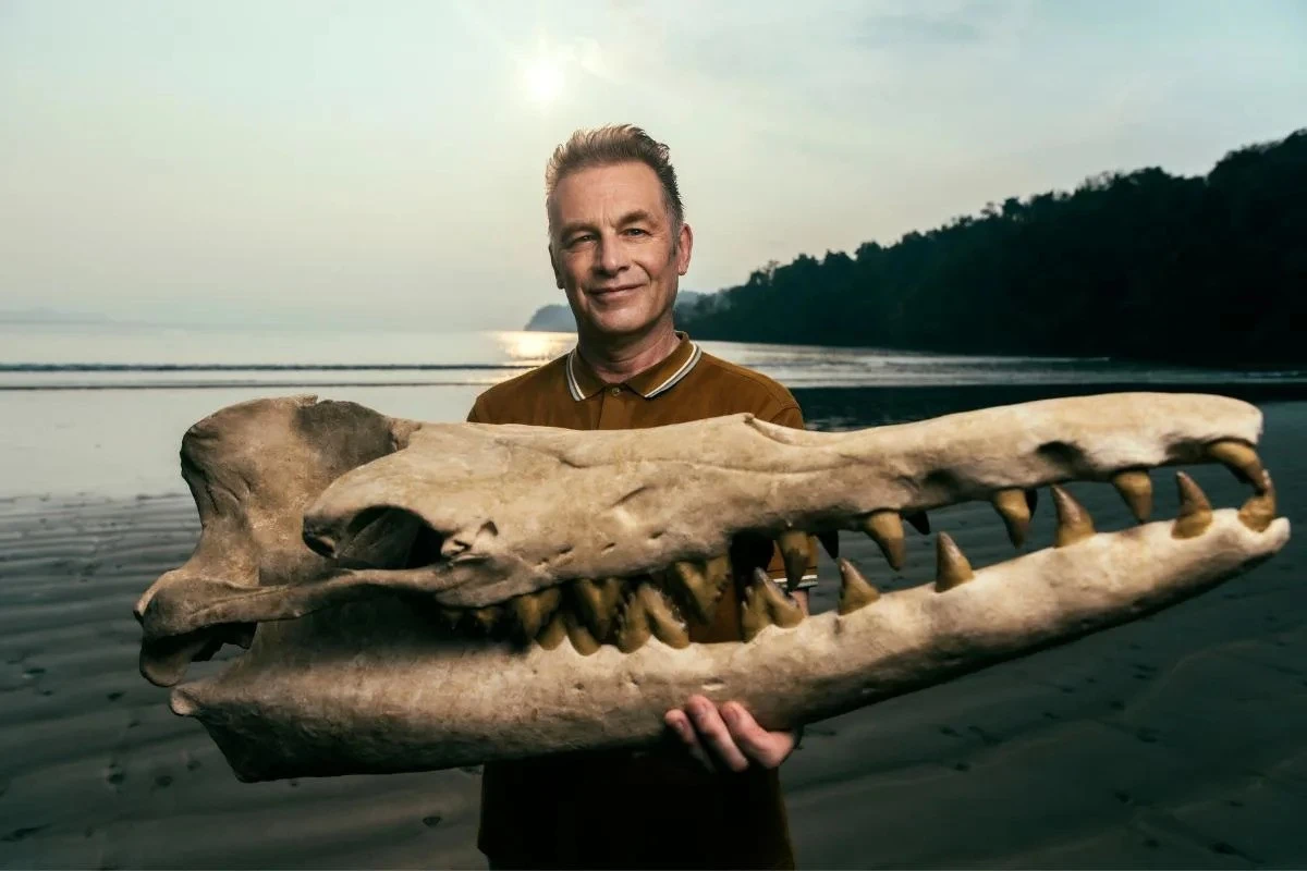 Dlaczego Chris Packham chciałby zostać pożarty przez tyranozaura - image 1