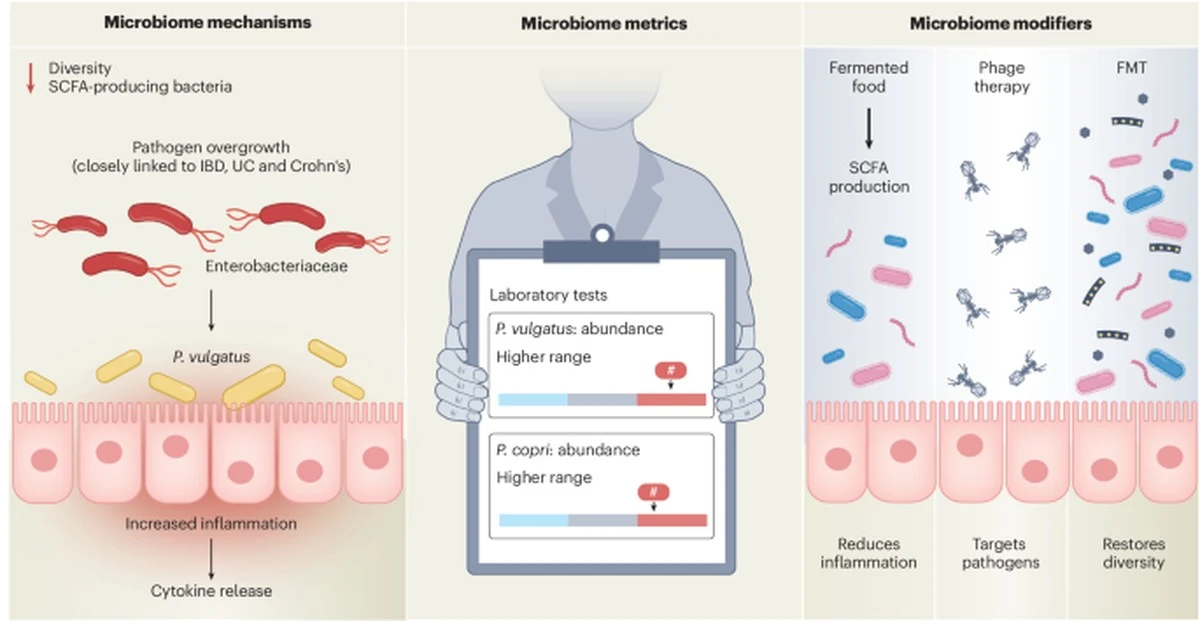 Dlaczego orzeszki ziemne są groźne dla wybranych osób? Odpowiedź kryje się w jednej bakterii - image 1