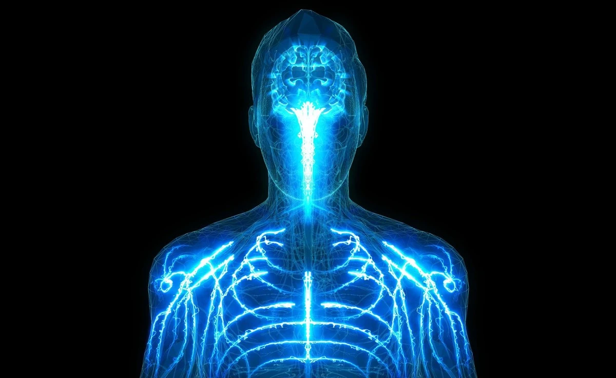 co3przypadekote-extra-1.webp Co 3. przypadek otępienia ma związek z ciałem, a nie z mózgiem - image 1