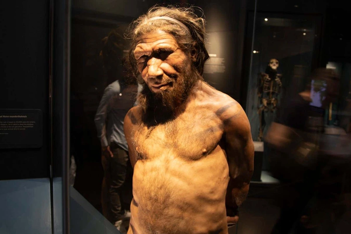 Dlaczego neandertalczycy częściej wybierali nasze prababki niż swoje własne kobiety