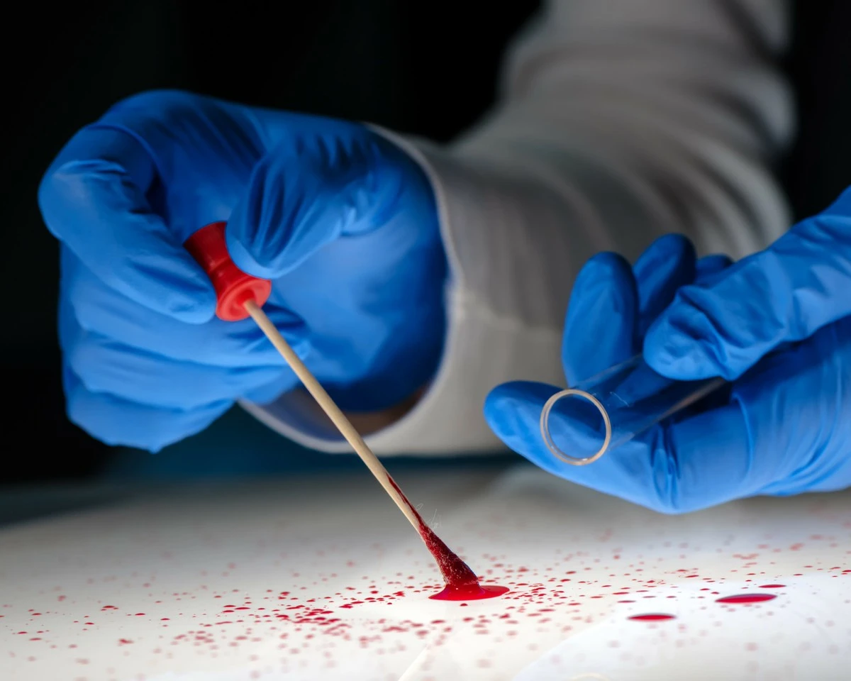 Dlaczego DNA nie zawsze mówi prawdę: lekcja od „Widma z Heilbronn” - image 1