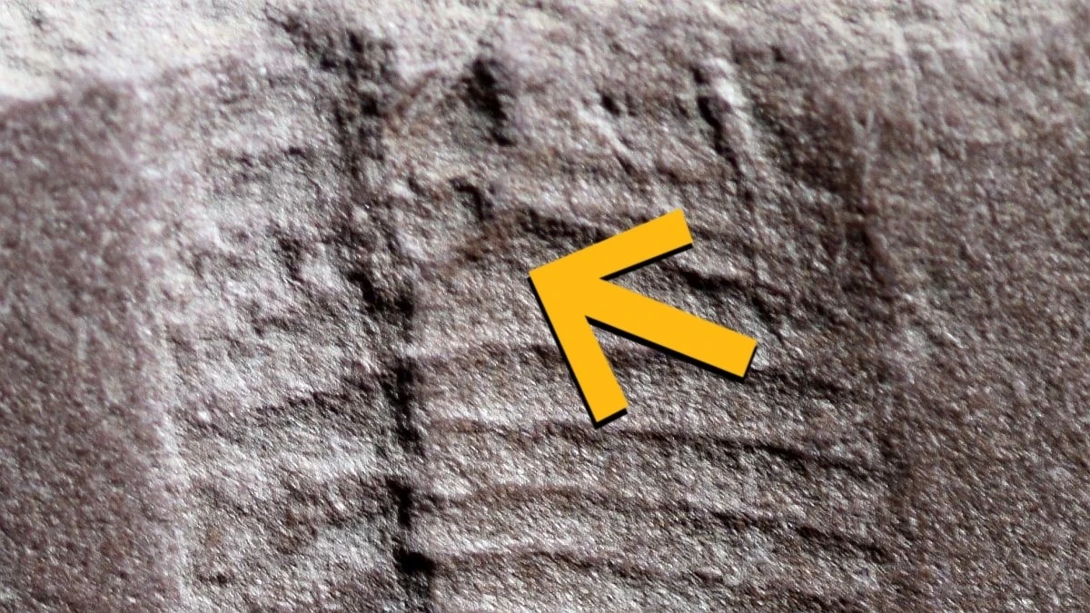 Dlaczego po diagnozie ludzie częściej łamią prawo