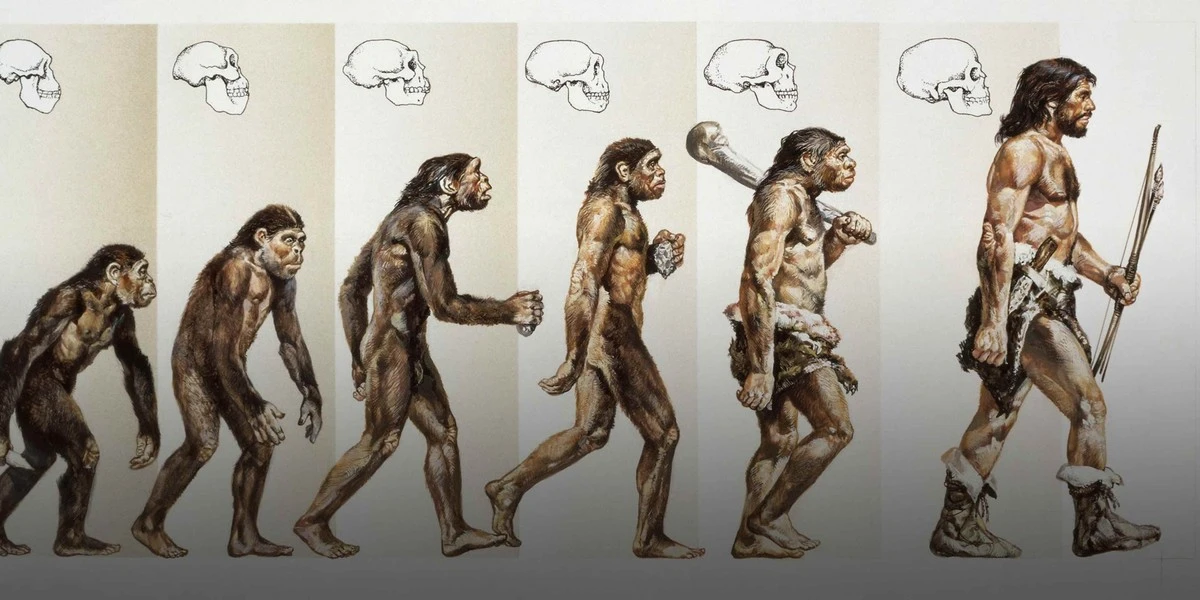 czyneandertalcz-extra-1.webp Czy neandertalczycy to potomkowie wczesnych ludzi? Ta teoria zmienia wszystko - image 1