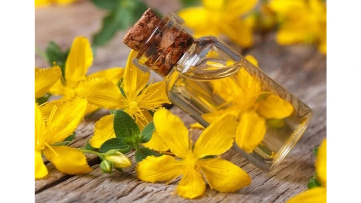 Dlaczego warto trzymać w szafce butelkę czerwonego oleju z dziurawca