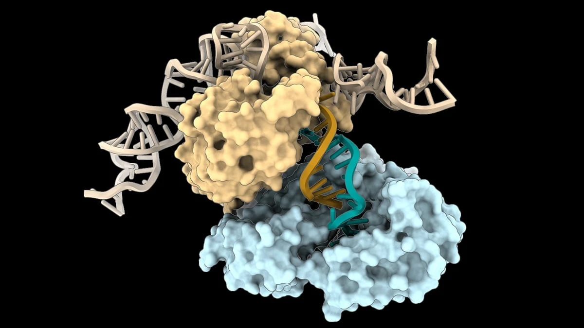 Naukowcy odkryli "samouczący się" kod genetyczny – to zmienia wszystko, co wiemy o życiu