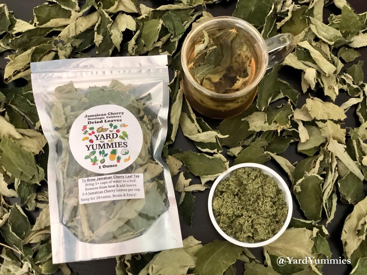 dlaczegodoswiad-extra-1.webp Dlaczego doświadczone gospodynie zbierają liście wiśni zamiast owoców - image 1