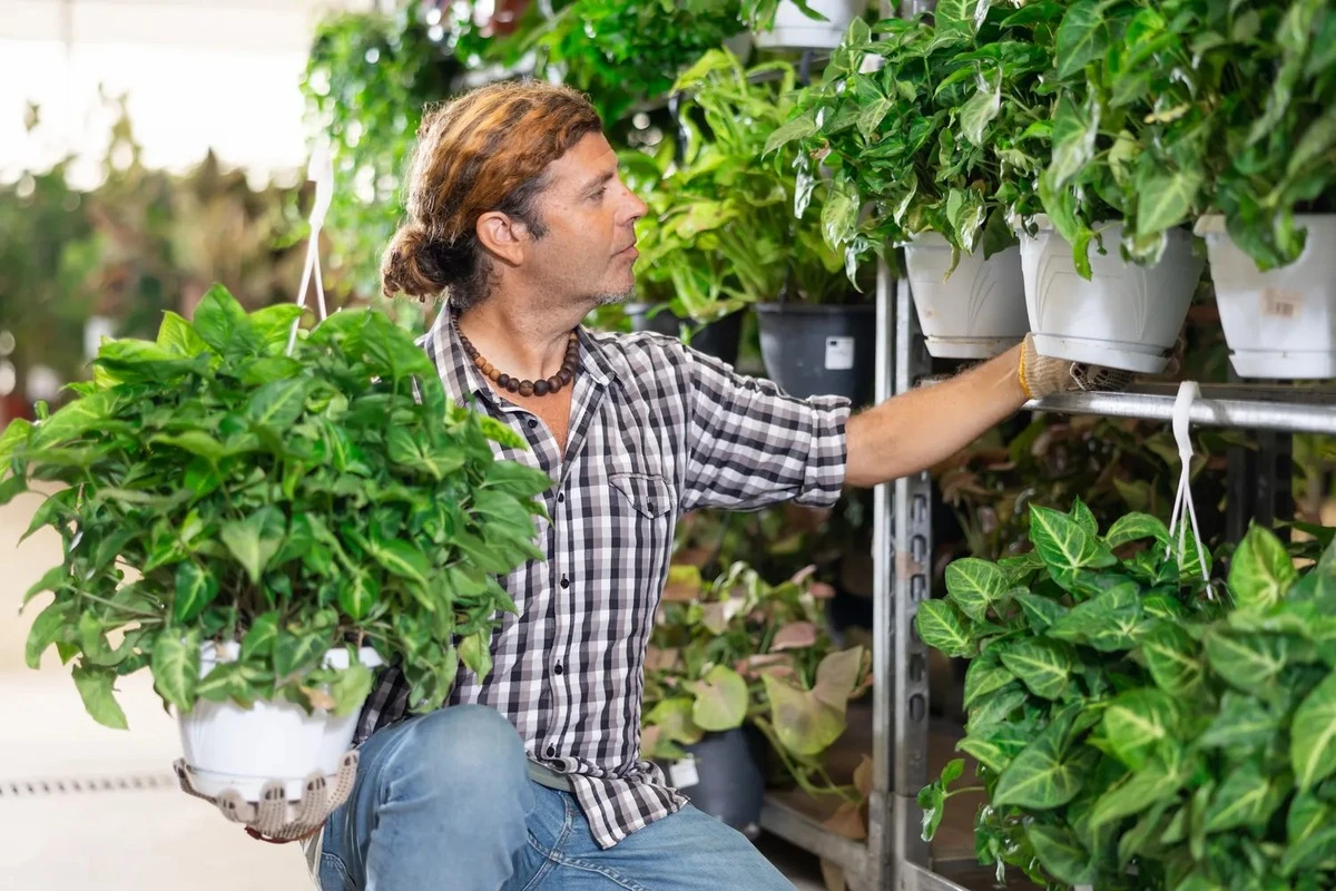 Dlaczego przestałem kupować rośliny w supermarketach i co znalazłem w ich ziemi