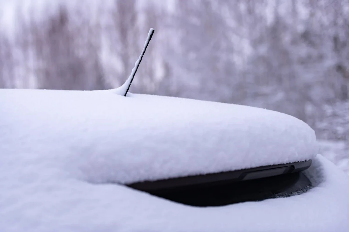 Ukryte funkcje płetwy na dachu: dlaczego auta straciły anteny?