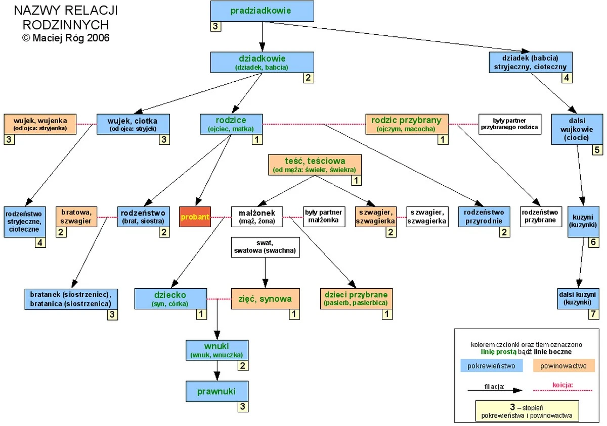 jednozdaniektor-extra-1.webp Jedno zdanie, które zakończyło wtrącanie się teściowej w nasze życie - image 1