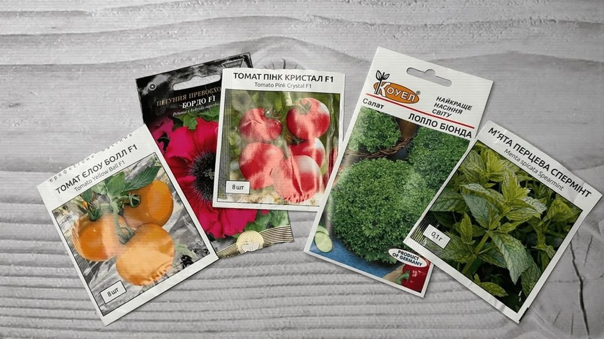 Te trzy litery na opakowaniu nasion decydują o twoich zbiorach – koniec z kupowaniem kota w worku