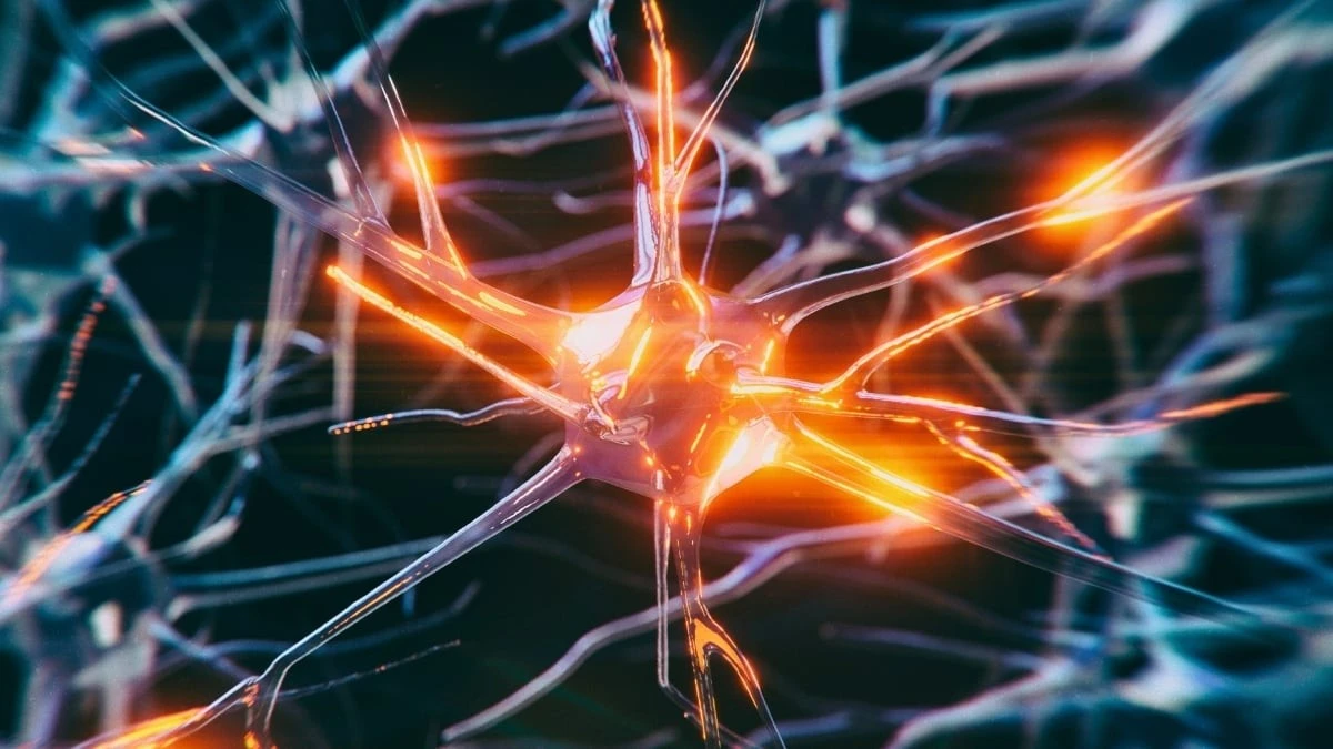 Czas na refleksję: pierwsze sygnały Alzheimera mogą pojawić się już przed 45. rokiem życia