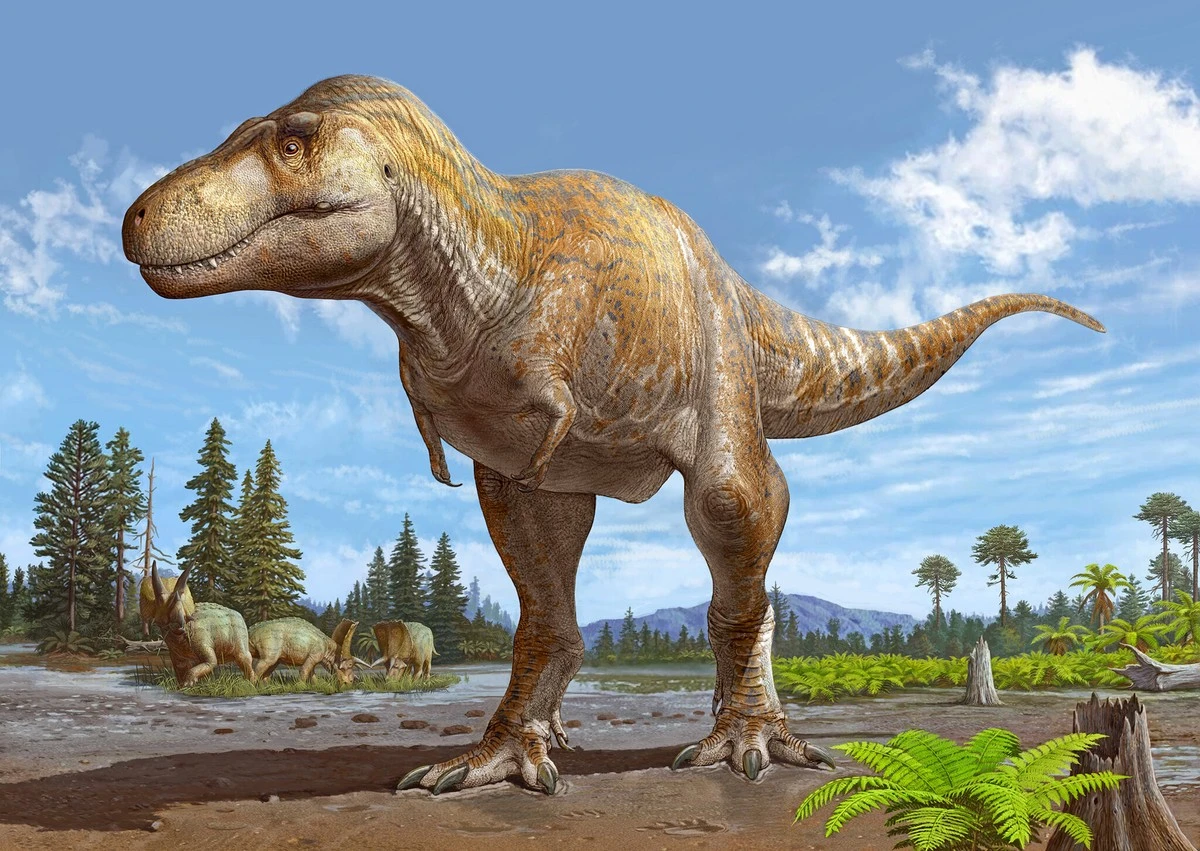 dlaczegotrexmia-extra-1.webp Dlaczego T. rex miał tak śmiesznie małe ramiona? Zagadka rozwiązana - image 1