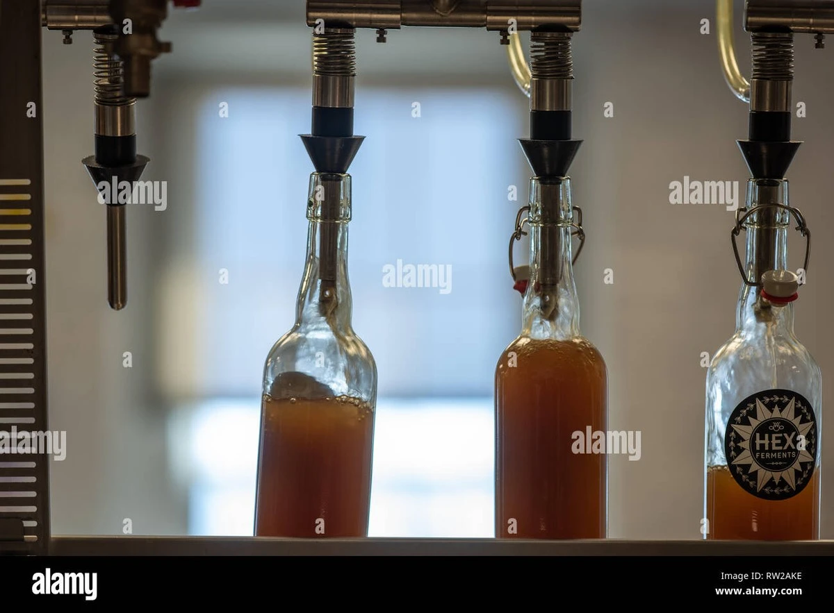 Dlaczego warto odstawić kombuchę, jeśli masz te konkretne objawy - image 1