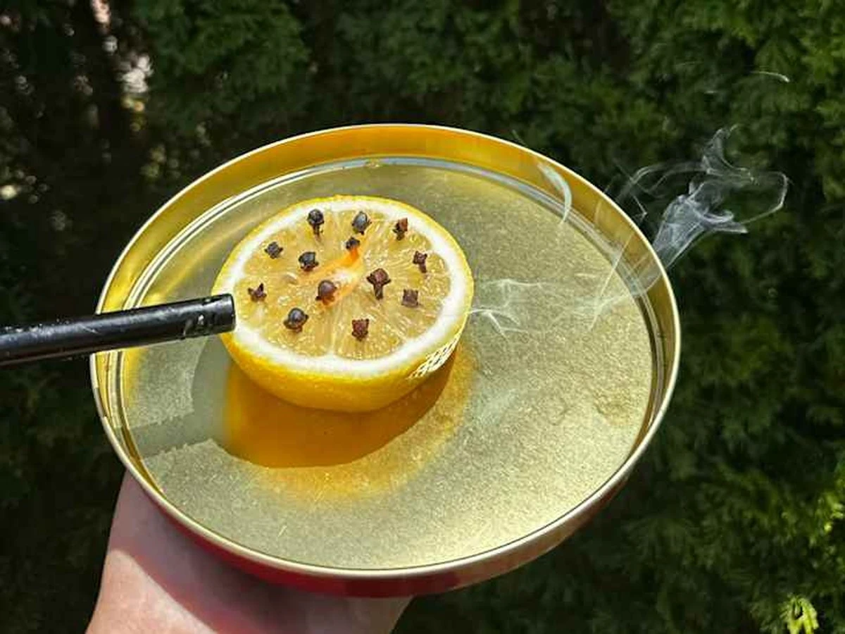 Dlaczego dziadek Antanas przestał używać chemii przeciwko komarom - image 1