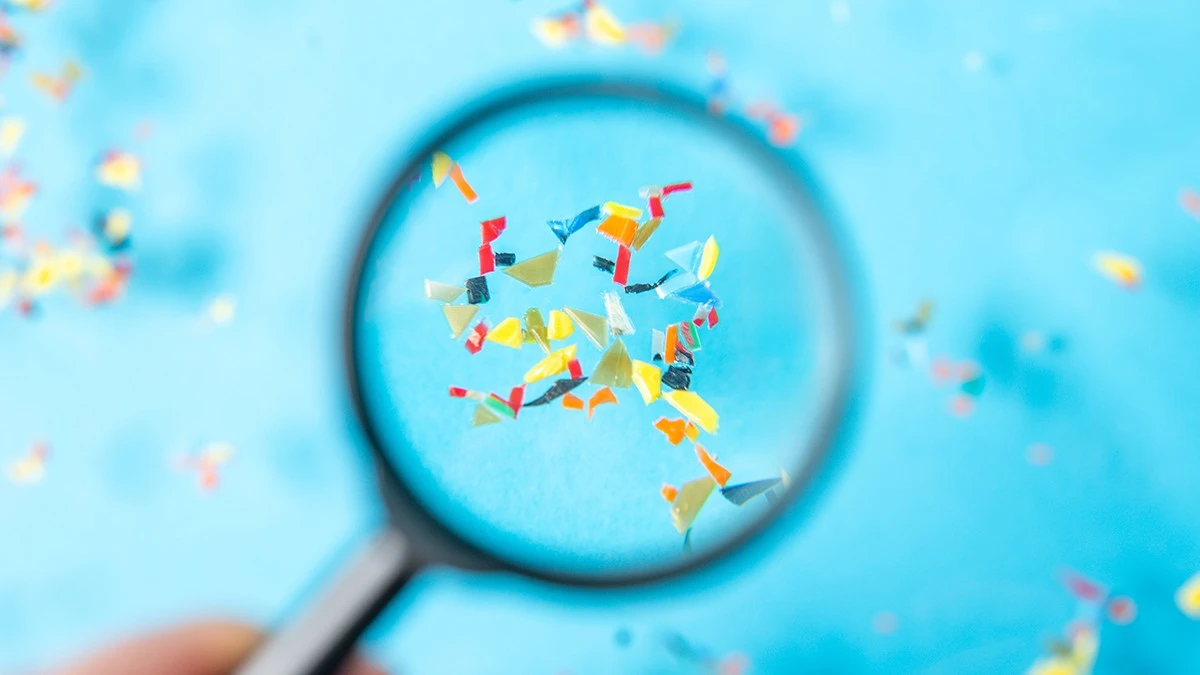 Dlaczego drobinki plastiku w jedzeniu mogą uszkadzać mózg