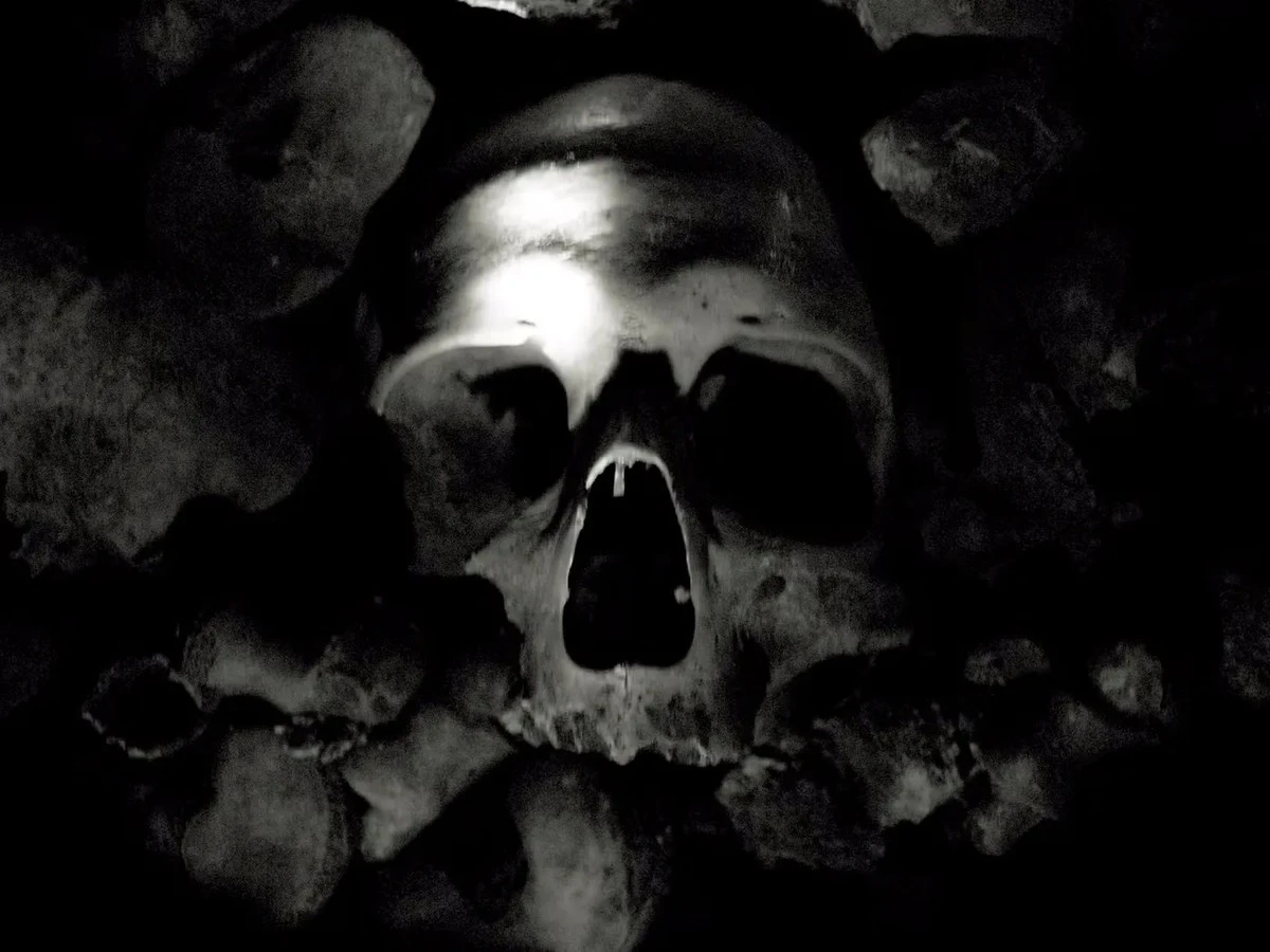 Dlaczego naukowcy z Harvardu wrócili do starej bazyliki po 22 latach