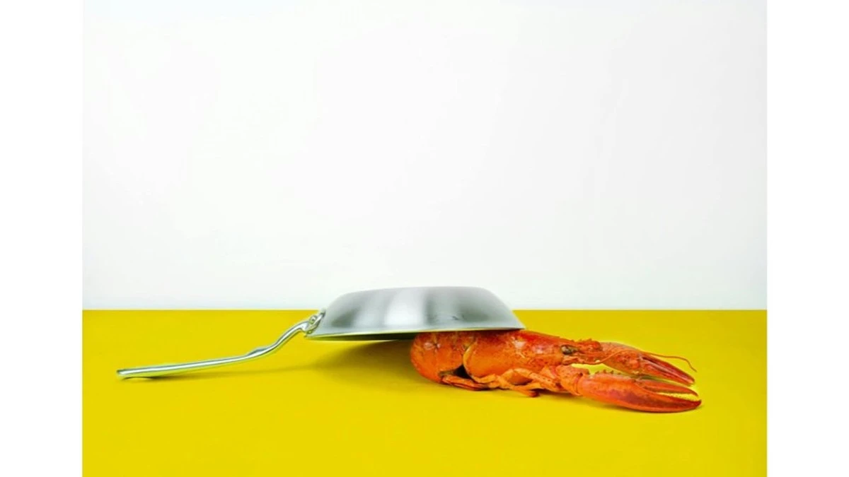 Dlaczego kucharze przestali wrzucać żywe homary do wrzątku