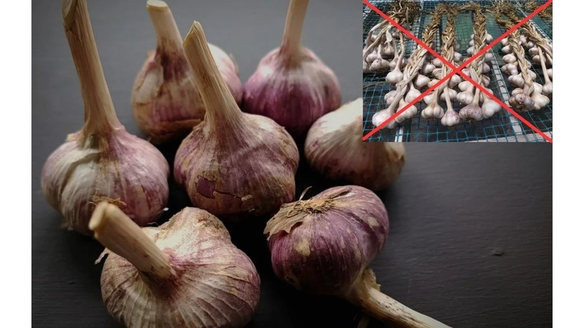 Dlaczego twoje czosnki psują się po miesiącu? Ten stary sposób zmienia wszystko